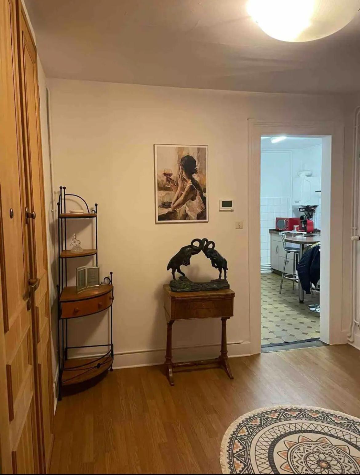 שטרסבורג Spacious Apartment City Centre מראה חיצוני תמונה