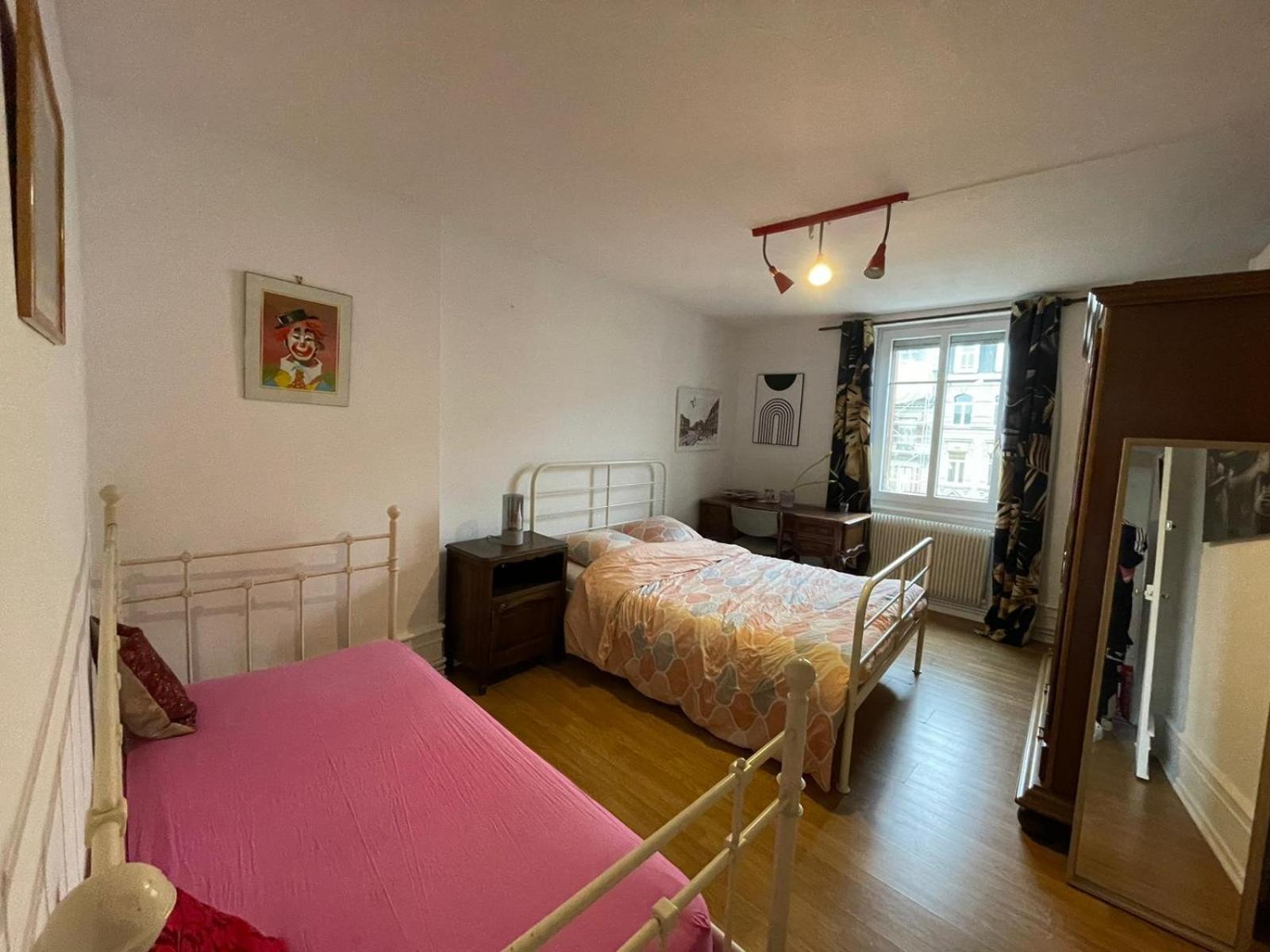 שטרסבורג Spacious Apartment City Centre מראה חיצוני תמונה