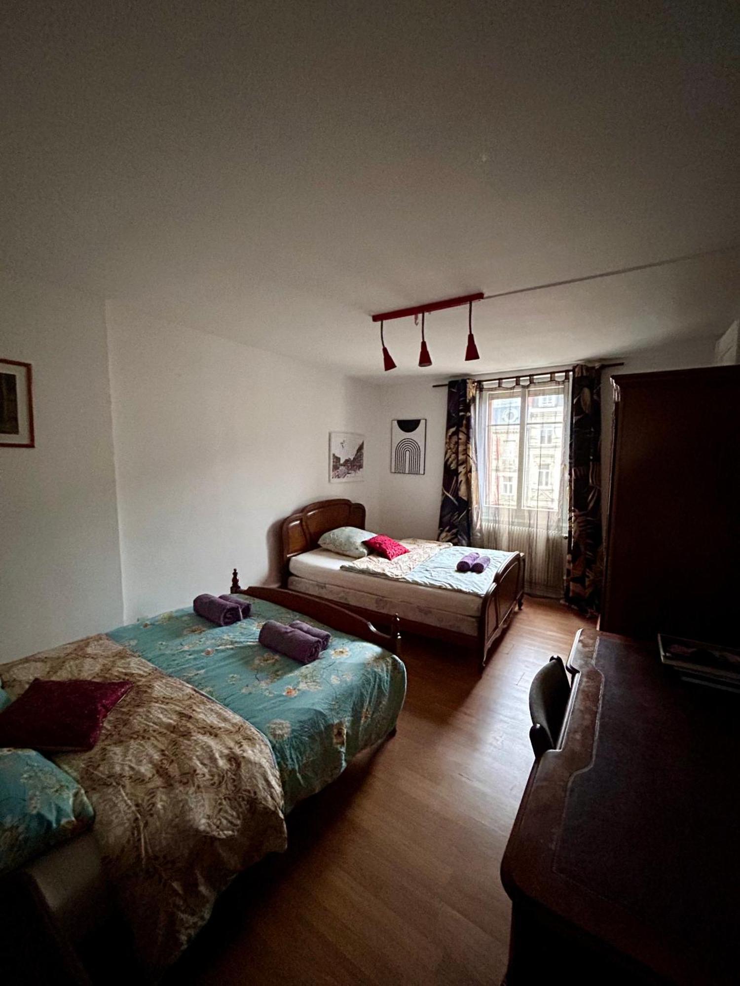 שטרסבורג Spacious Apartment City Centre מראה חיצוני תמונה