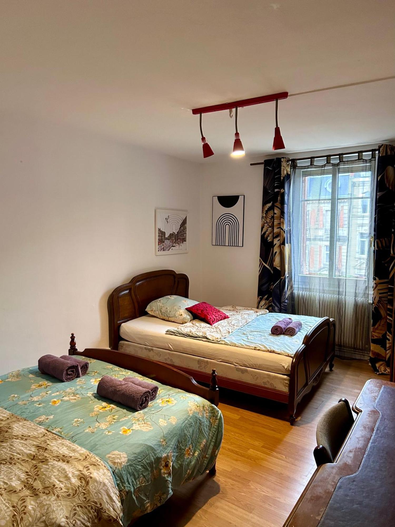 שטרסבורג Spacious Apartment City Centre מראה חיצוני תמונה