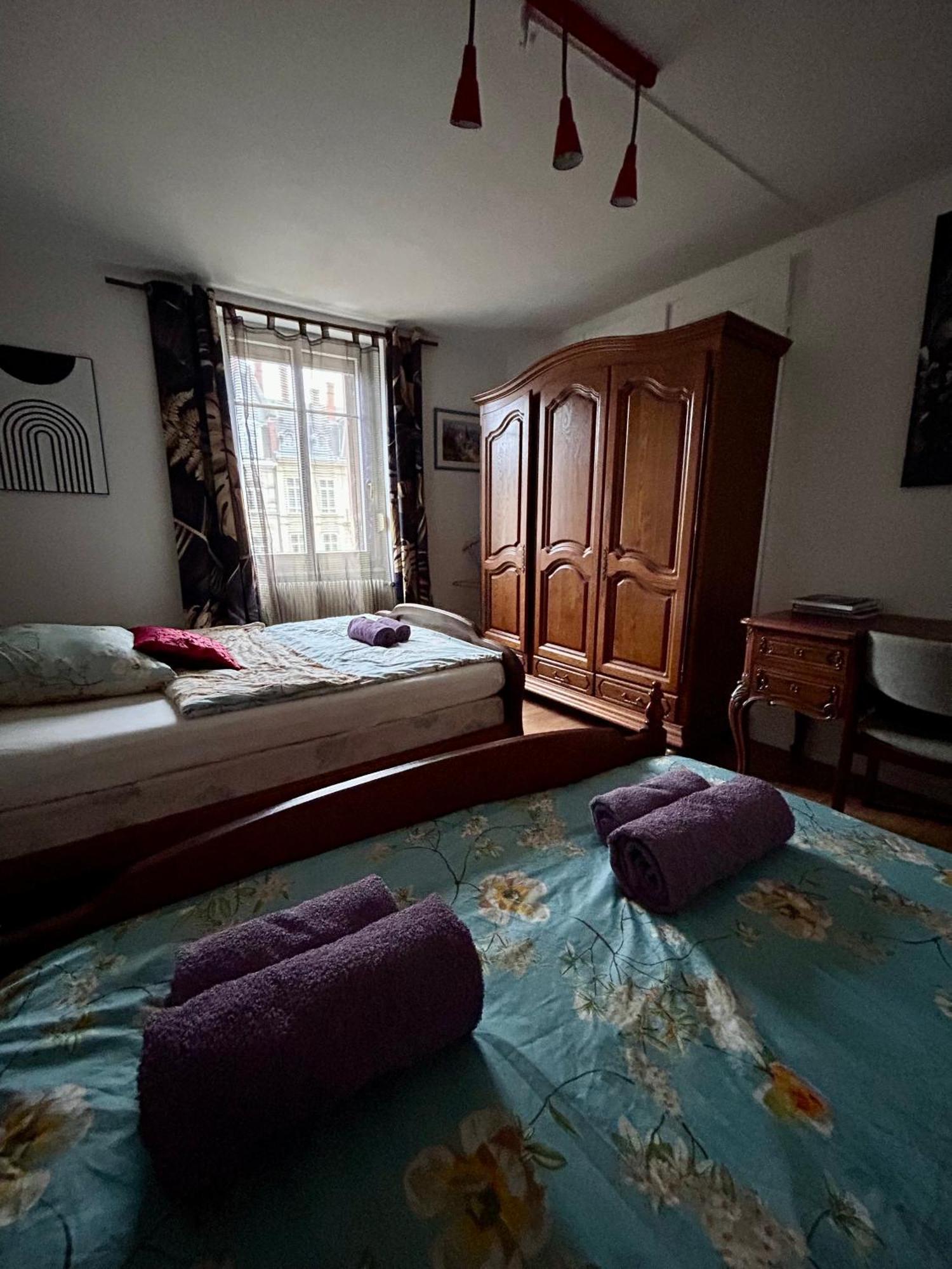 שטרסבורג Spacious Apartment City Centre מראה חיצוני תמונה