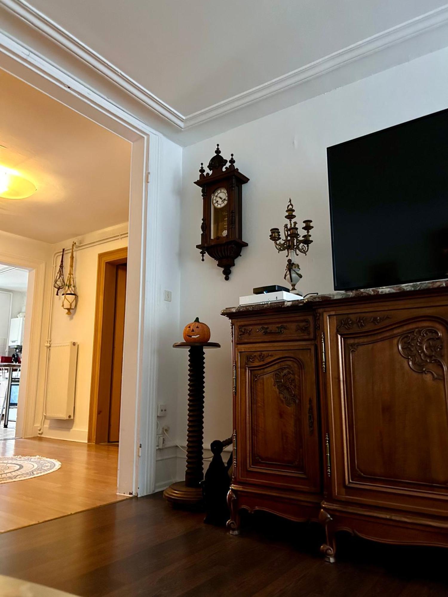 שטרסבורג Spacious Apartment City Centre מראה חיצוני תמונה
