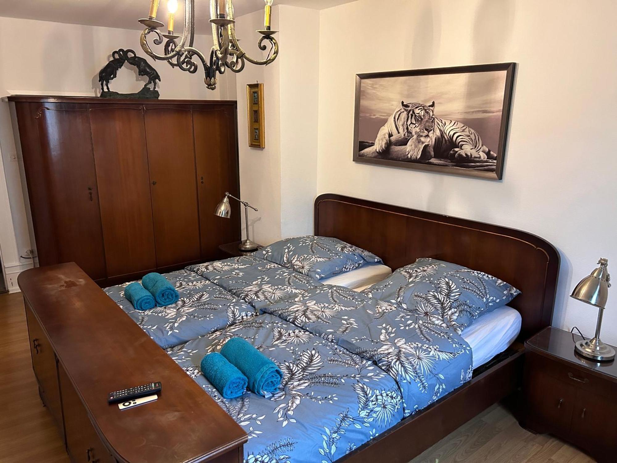 שטרסבורג Spacious Apartment City Centre מראה חיצוני תמונה
