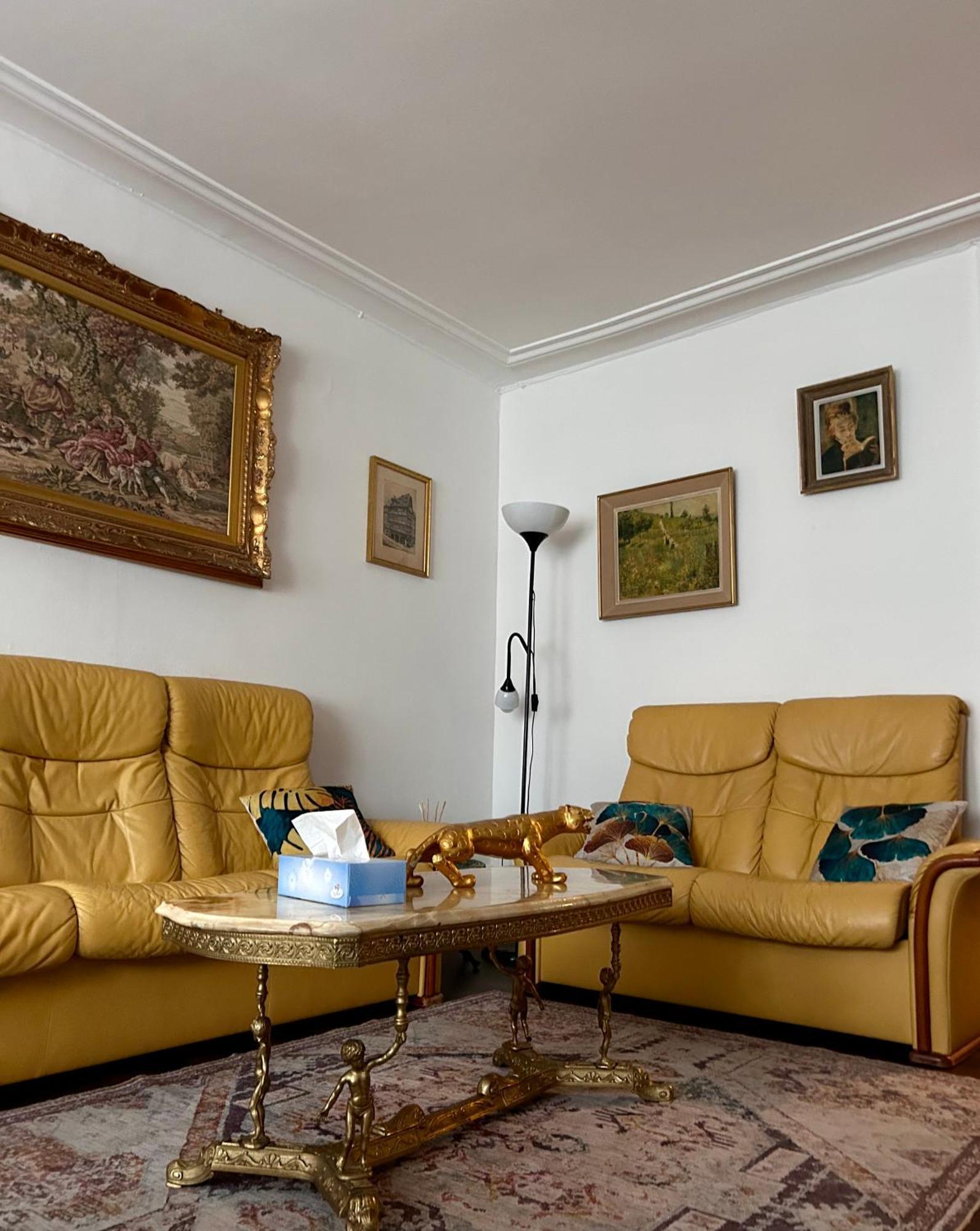שטרסבורג Spacious Apartment City Centre מראה חיצוני תמונה